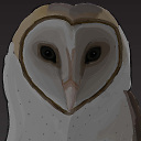 аватар Owl