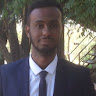 Metasebiya Mulugeta avatar