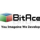 аватар Bitace Developer